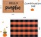 Fall Decor Doormat Combo Set, 100% Coco Coir Welcome Mat + 28 x 43" Orange and Black Plaid Rug - Fall Thanksgiving Front Porch Entryway Decor Floor Mat, Indoor Outdoors Autumn Mats Hello, Pumpkin.